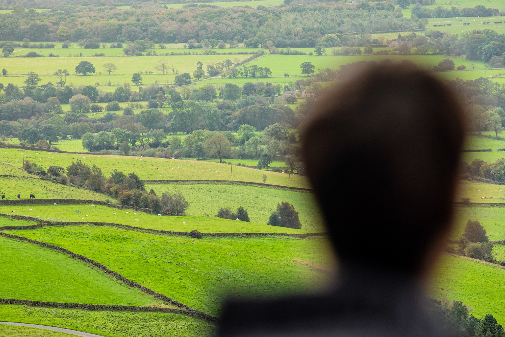 Image of young person looking at countryside